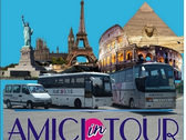 Amici In Tour S.a.s