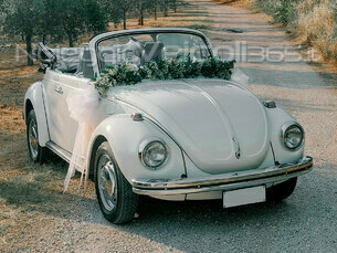 Volkswagen Maggiolone per matrimonio