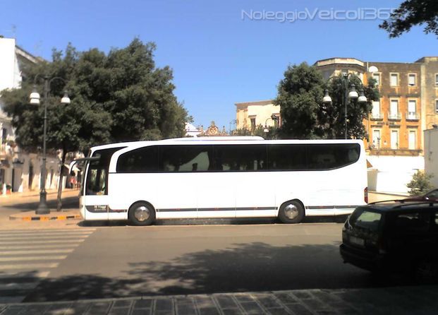 Autobus M Viaggi