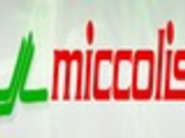 Miccolis